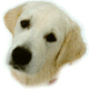 Dog180x80.GIF (5416 bytes)